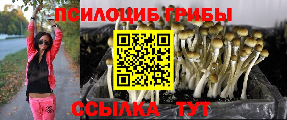 Псилоцибиновые грибы прущие грибы  Вход с VPN  Тольятти  Галлюциногенные грибы GOLDEN TEACHER 